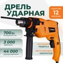 Дрель ударная ДУ-700 Вихрь